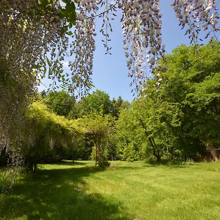 Дом отдыха Haus Im Gruenen *