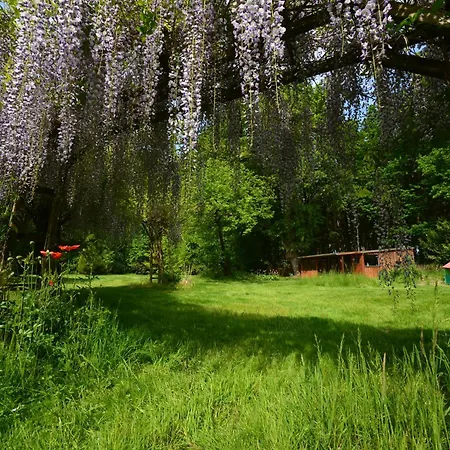 Haus Im Gruenen Шнефердинген