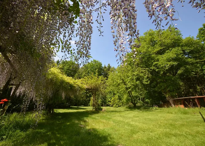 別荘 Haus Im Gruenen *