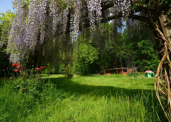 Haus Im Gruenen シュネーヴァーディンゲン
